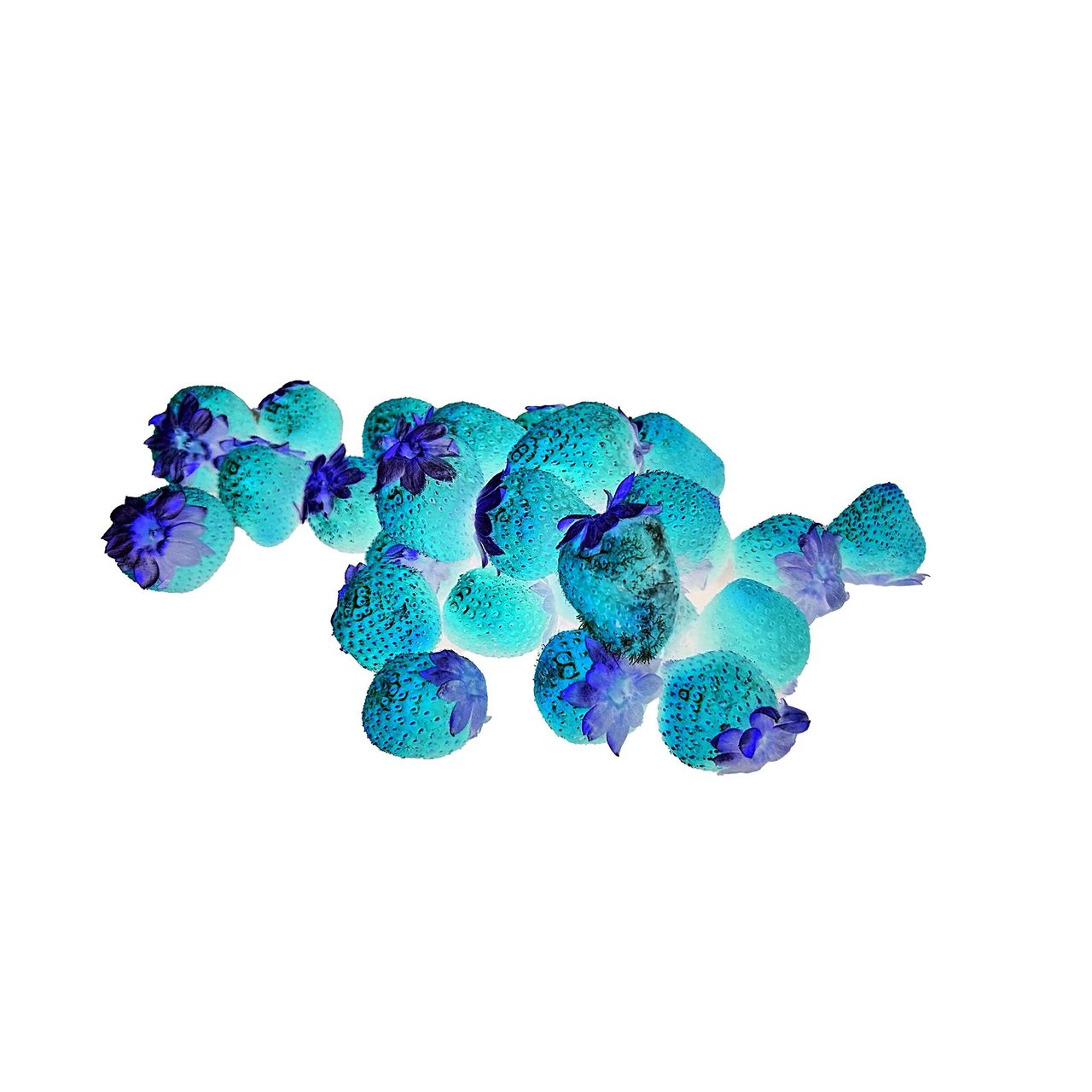 Strawberries with colours inverted in Photoshop: they appear turquoise and blue on a white background
